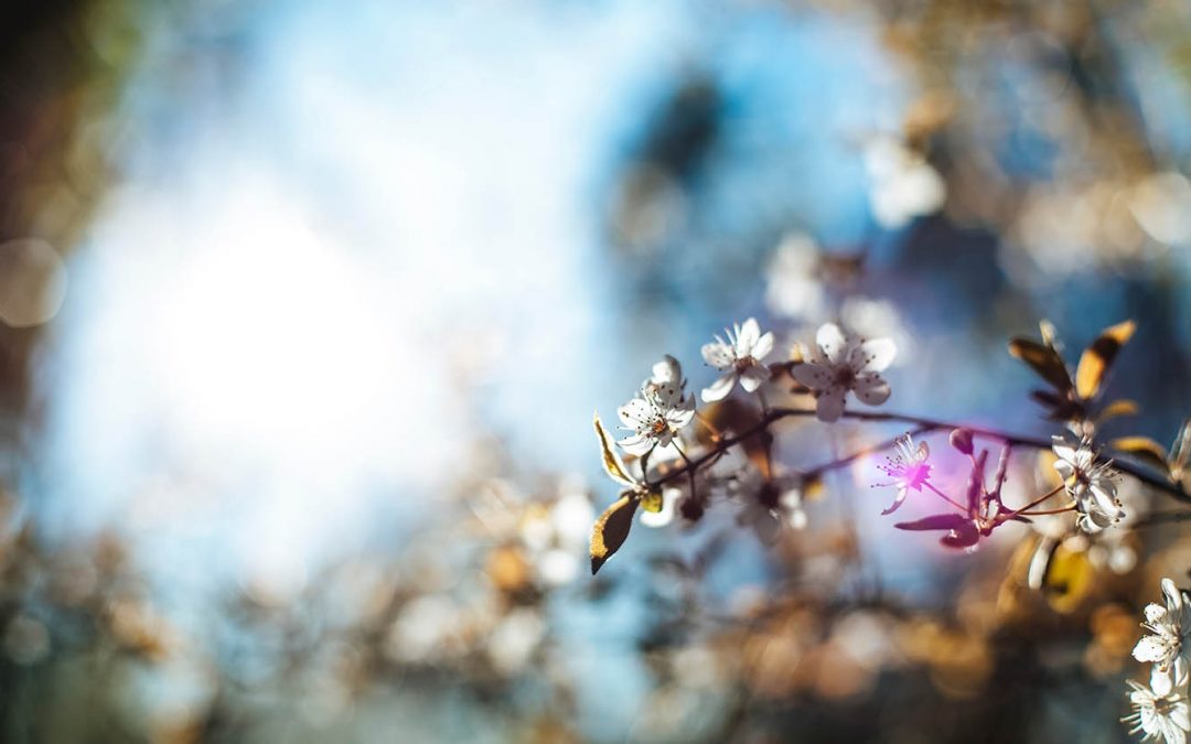 He Restores from Calamity